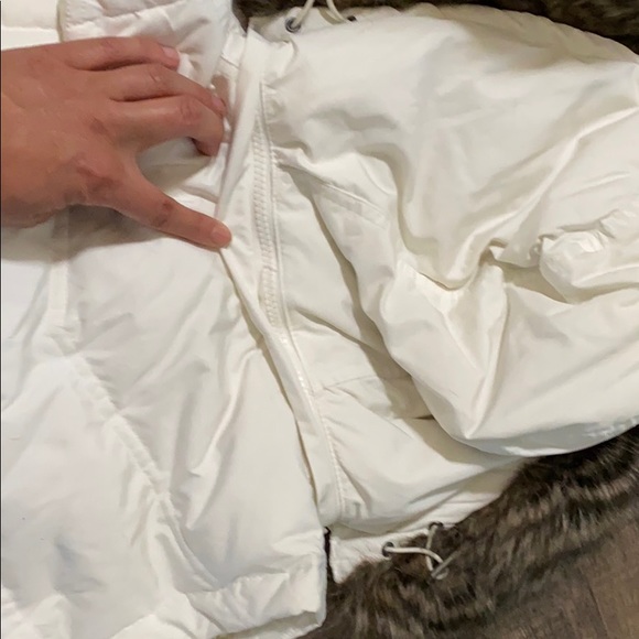 Gap puffer vest - Picture 5 of 7